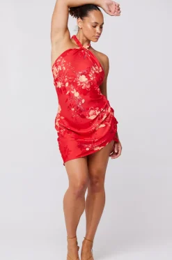 Cheap Diana Dress In Blossom Women Dresses