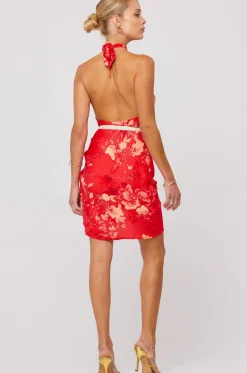Cheap Diana Dress In Blossom Women Dresses
