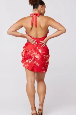 Cheap Diana Dress In Blossom Women Dresses