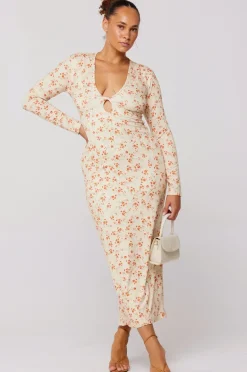 Online Twiggy Dress In Wildflower Women Dresses